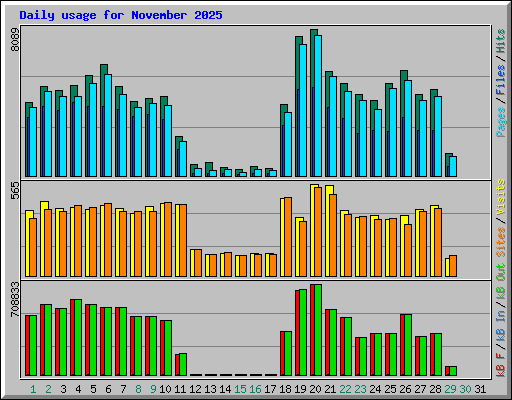 Daily usage for November 2025