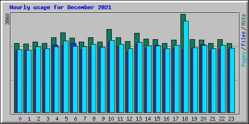 Hourly usage for December 2021