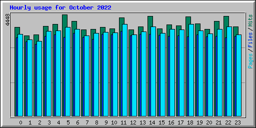 Hourly usage for October 2022