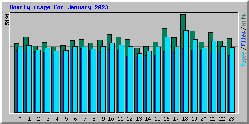 Hourly usage for January 2023