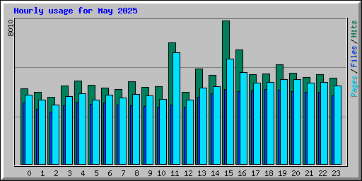 Hourly usage for May 2025