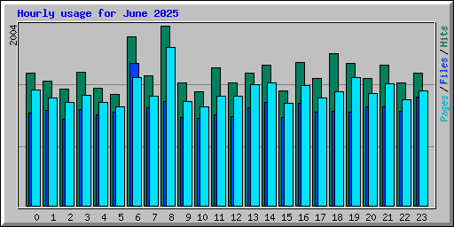 Hourly usage for June 2025