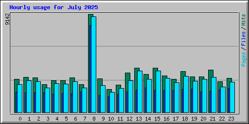 Hourly usage for July 2025
