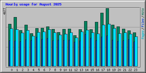 Hourly usage for August 2025