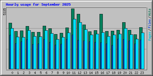 Hourly usage for September 2025