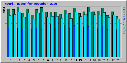 Hourly usage for November 2025